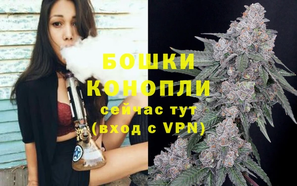 бошки Белокуриха