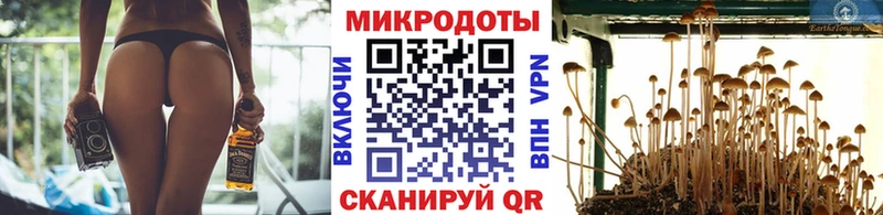 Псилоцибиновые грибы MAGIC MUSHROOMS  как найти закладки  Пикалёво 
