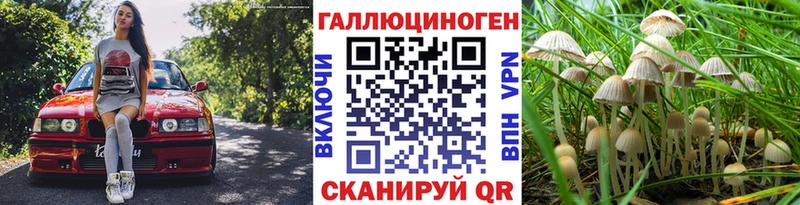 Псилоцибиновые грибы MAGIC MUSHROOMS Пикалёво