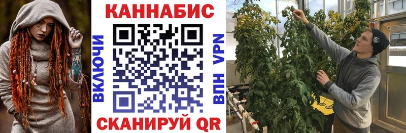 hydra ССЫЛКА купить наркотики цена Пикалёво Каннабис Amnesia